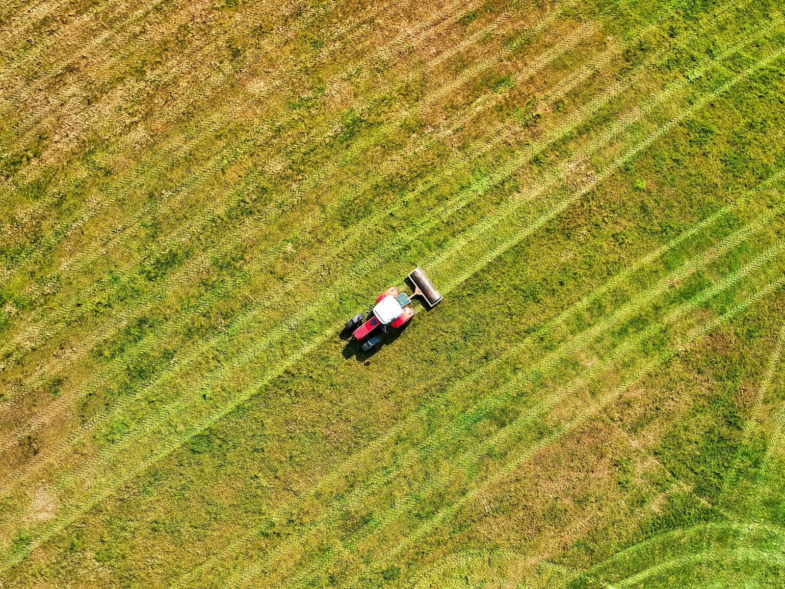 white and black truck on green grass field during daytime